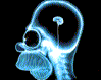 4.gif