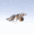 001445.gif