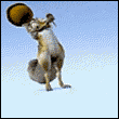 001701.gif