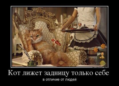 1382950954_novye-demki-23.jpg