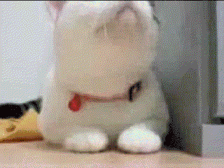 013fde5832807f8ebf0c3d5d1dce9655.gif