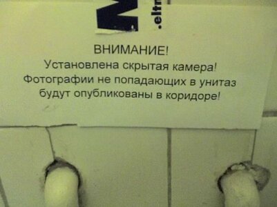 1230704922_1-40.jpg