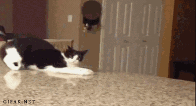 doc183889577_135166573.gif
