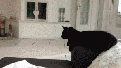 Day_pyat_33.gif