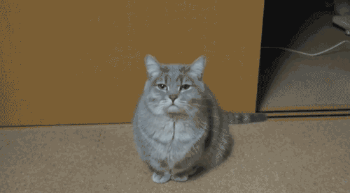 file.gif