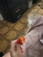IMG_2002.jpeg