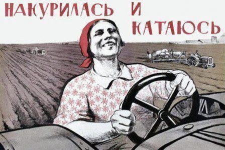 1458129222_lav (1).jpg