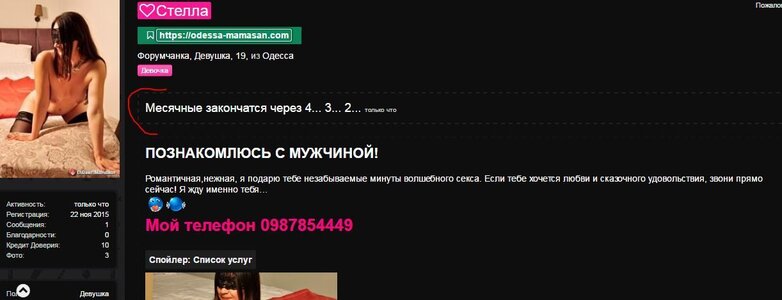 status.JPG
