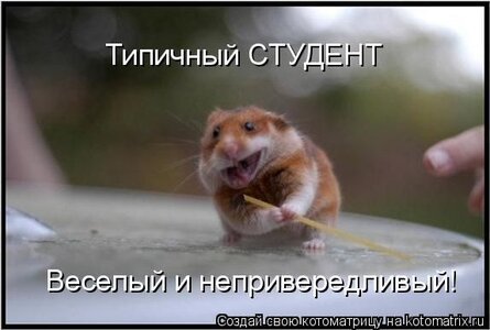 mouse-homyak_02.jpg