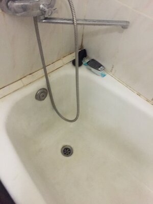 image.jpeg