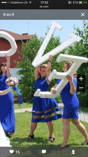 IMG_6335.PNG
