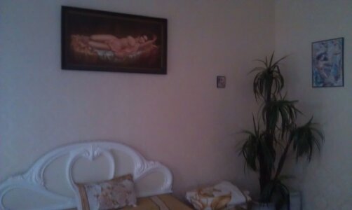 IMAG0704.jpg