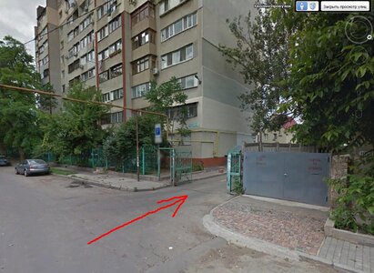 хвойный.JPG