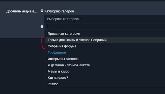 catV.JPG