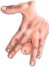 image011.gif