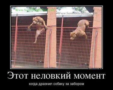 prikolnie_demotivators_zapilili.ru_29.jpg