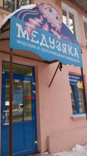 image.jpeg