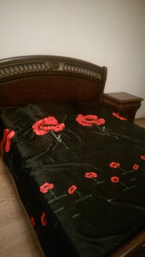 IMAG0662.jpg