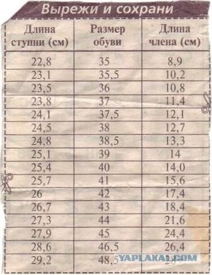 365780 (1).jpg