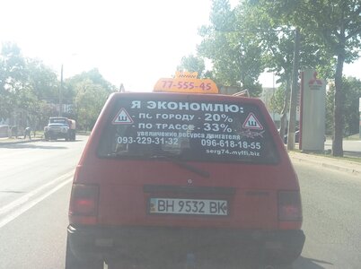 555852.jpg