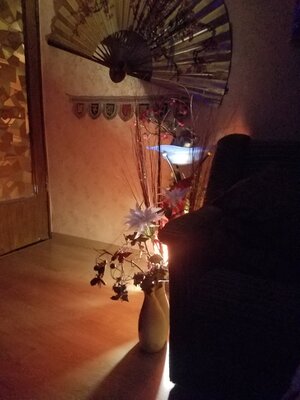 20181104_145919.jpg