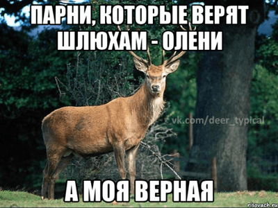 be9a1d8ade.png