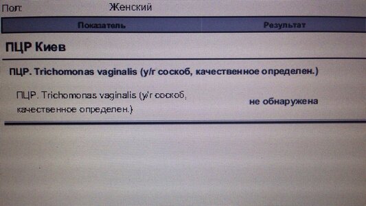 анализФеи.jpg