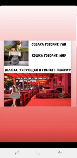 12E6720F-08D9-4F4B-B24F-380A8EA328C3.jpeg