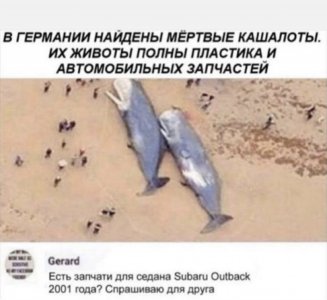 7DA323BA-9658-457E-AC2D-63F66023F067.jpeg