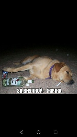 IMG-829300a1143c92ca736507e4a6b8dcec-V.jpg