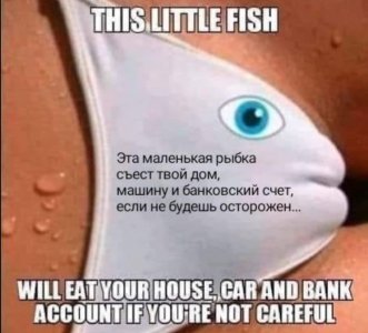 IMG_20191122_120717.jpg