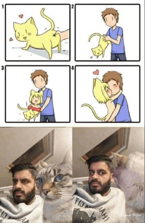 1580657976895.png