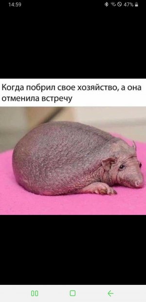 Screenshot_20200303-145934_Facebook.jpg