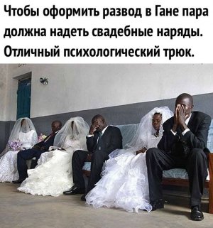 IMG-4bbb628882d2695ed1356d8036b5680a-V.jpg
