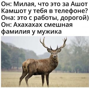97E9AB57-B5C2-4A55-8AA6-F212A23C66C7.jpeg