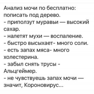 3CDE6074-22E6-4869-B6A5-9777582CCF92.jpeg