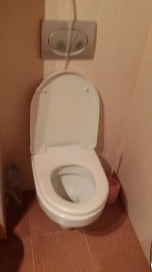 20150313_123340.jpg