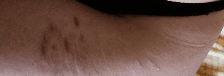 2020-08-23_155444.png