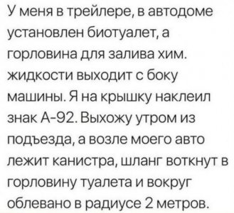 лис.jpg