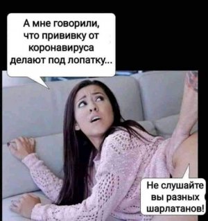 15033956.jpg