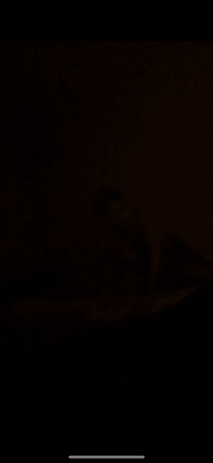 979-C0-B2-B-D540-42-E0-9828-AB4356-D9460-C.png