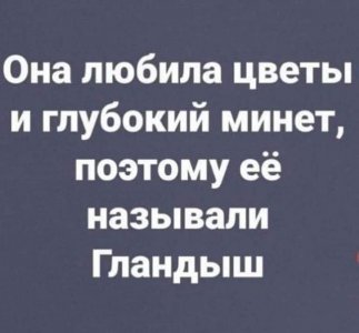 15033984.jpg