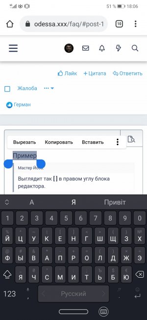 Screenshot_20210208_180637_com.android.chrome.jpg