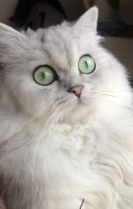 7C128AB4-DDE0-48B7-97BE-11050D2798AB.jpeg
