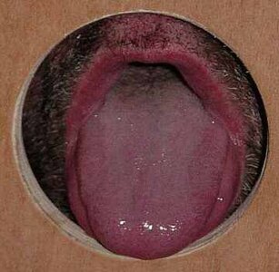 gloryhole-in-one.jpg
