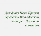 IMG-02ca2c47fd5401bb1ca3cfd7c6a5d652-V.jpg