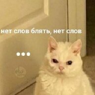 TID6215804315