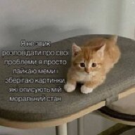 TID8086916569