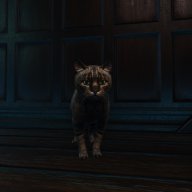 WitcherCat