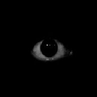 TID6070192533